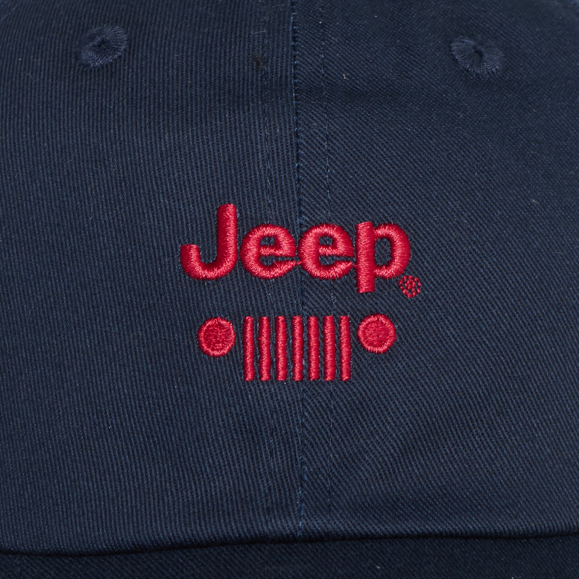 Dad Cap (3)