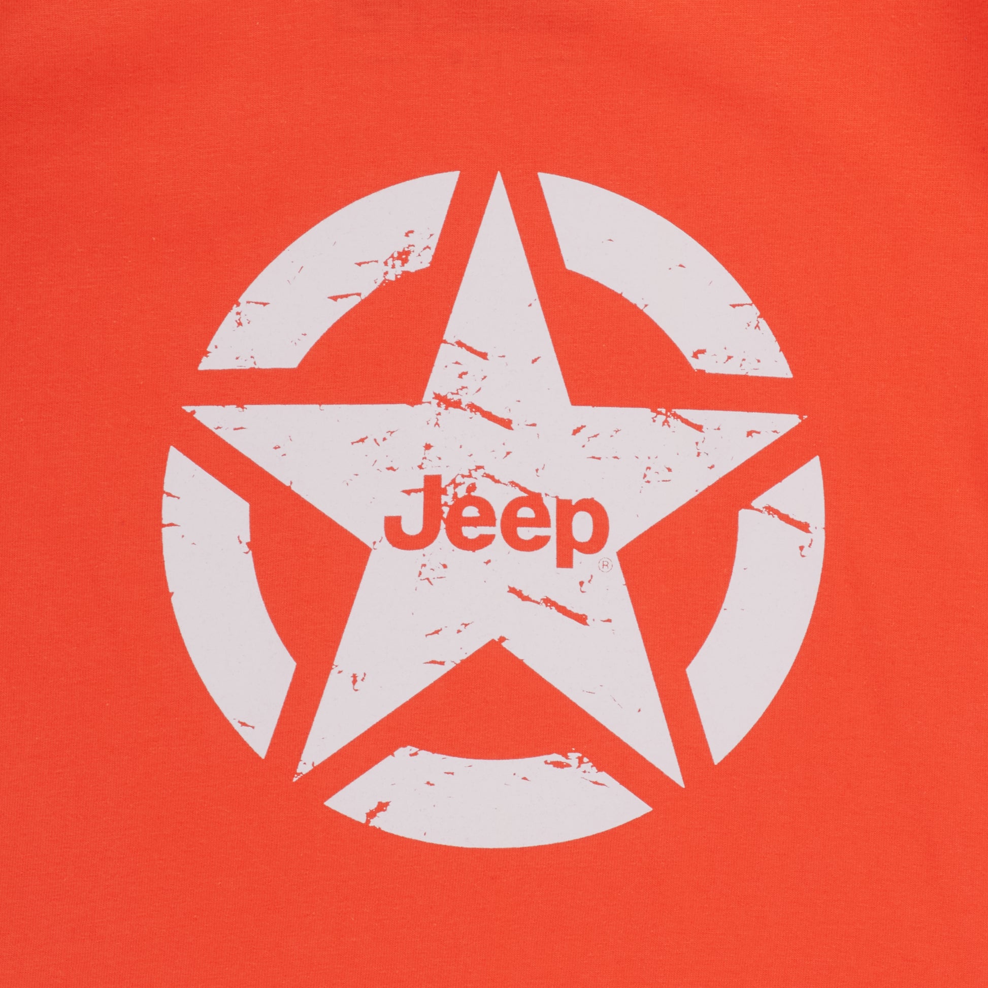 Icon Star Logo T-shirt (3)