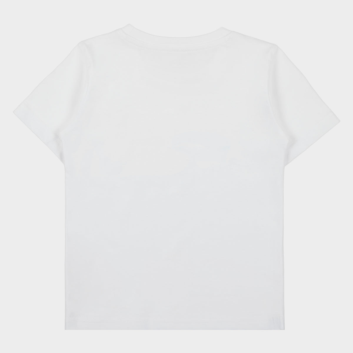 Check Shirt (1)