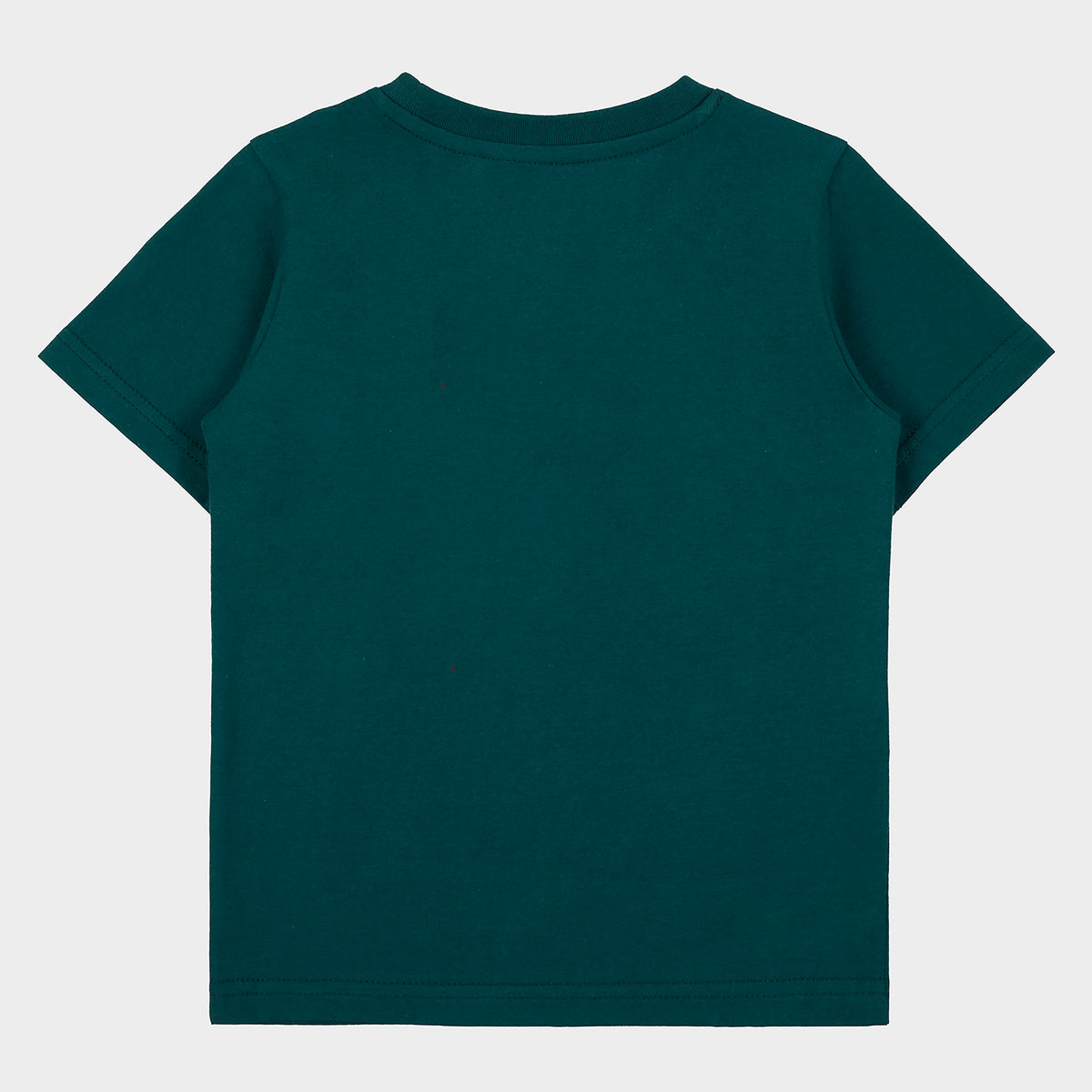 Check Shirt (1)