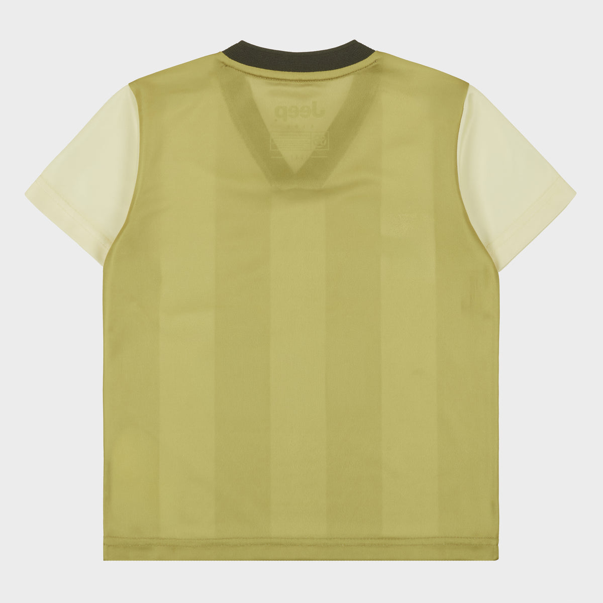 Check Shirt (1)