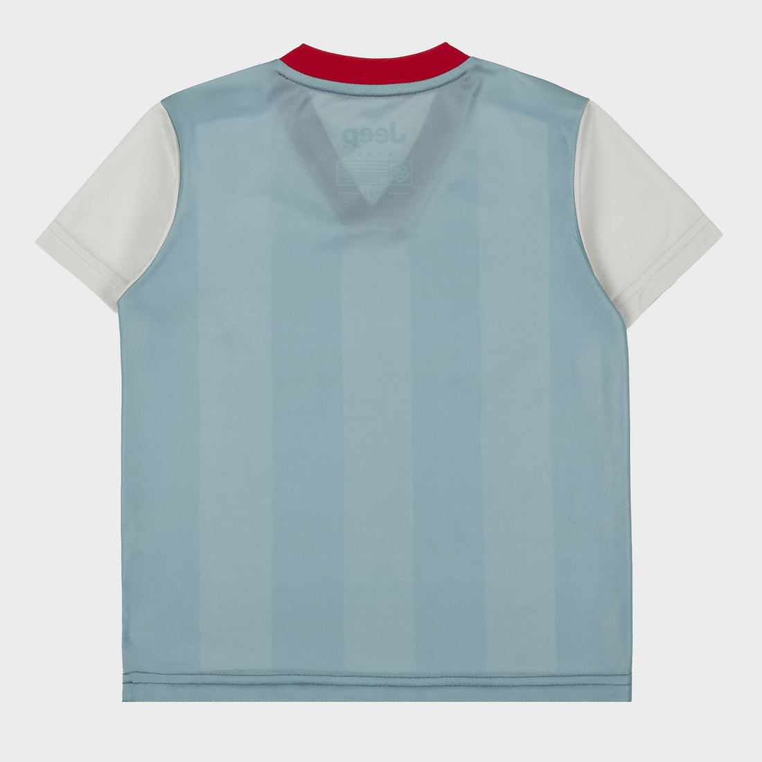 Check Shirt