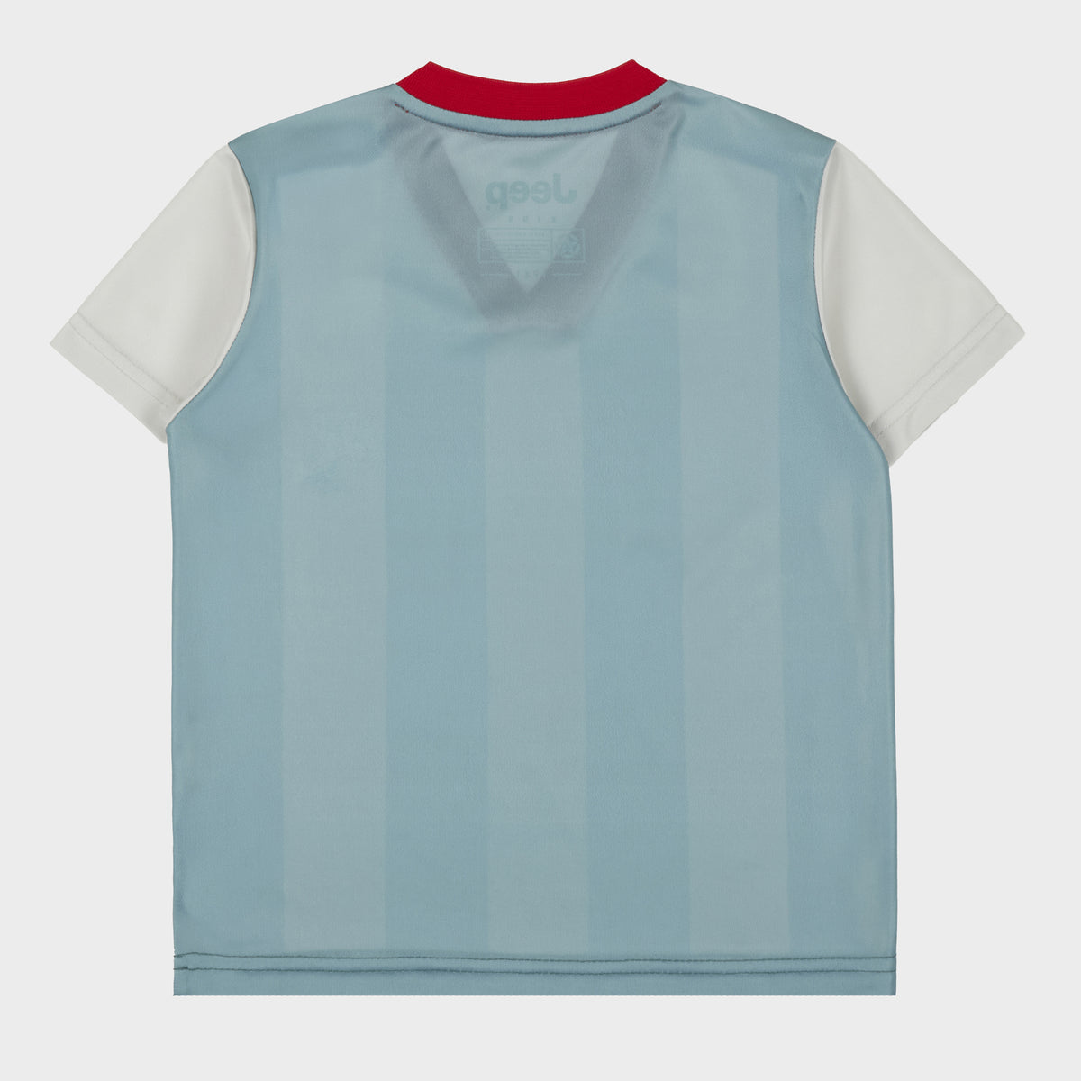 Check Shirt (1)