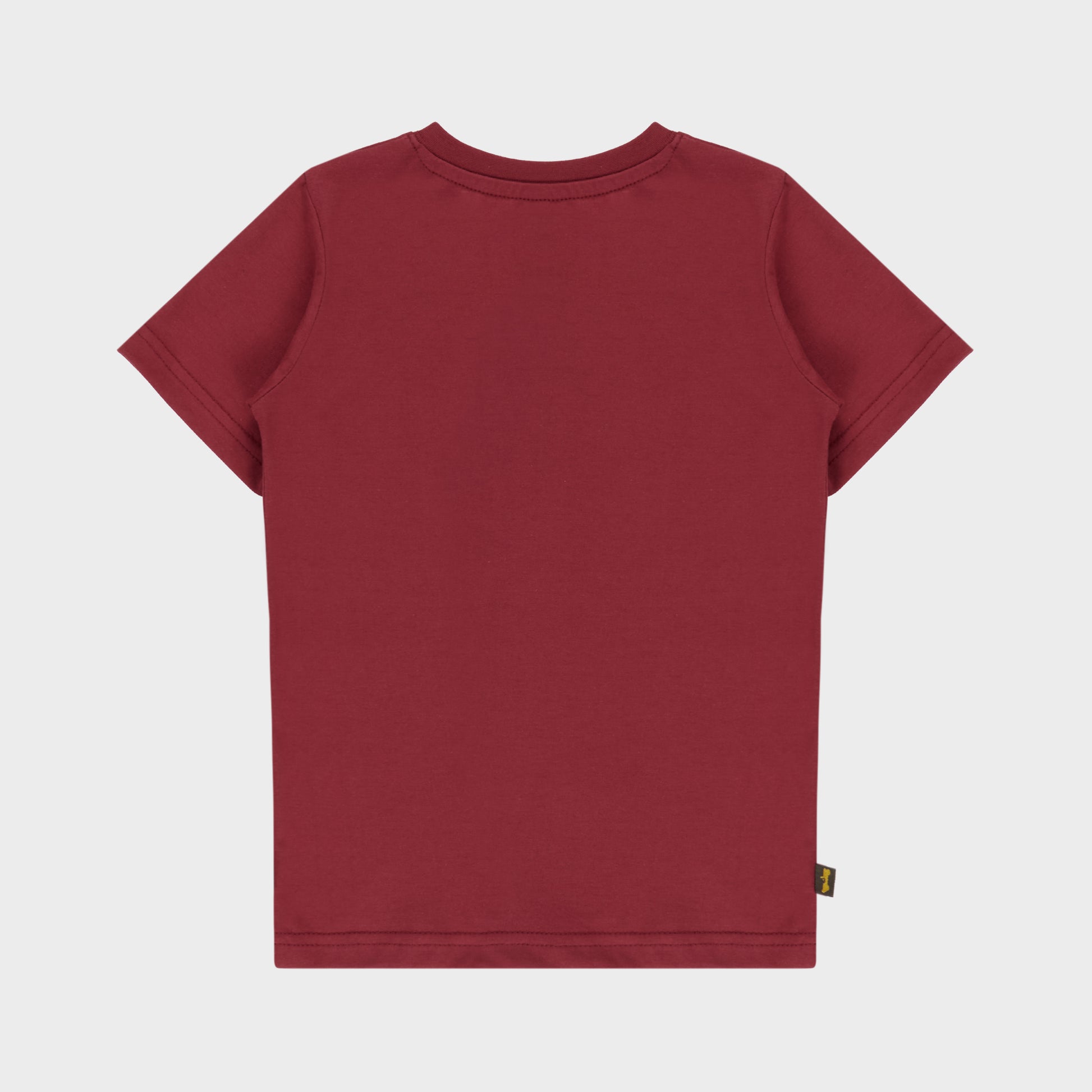 Icon  Logo T-shirt (2)