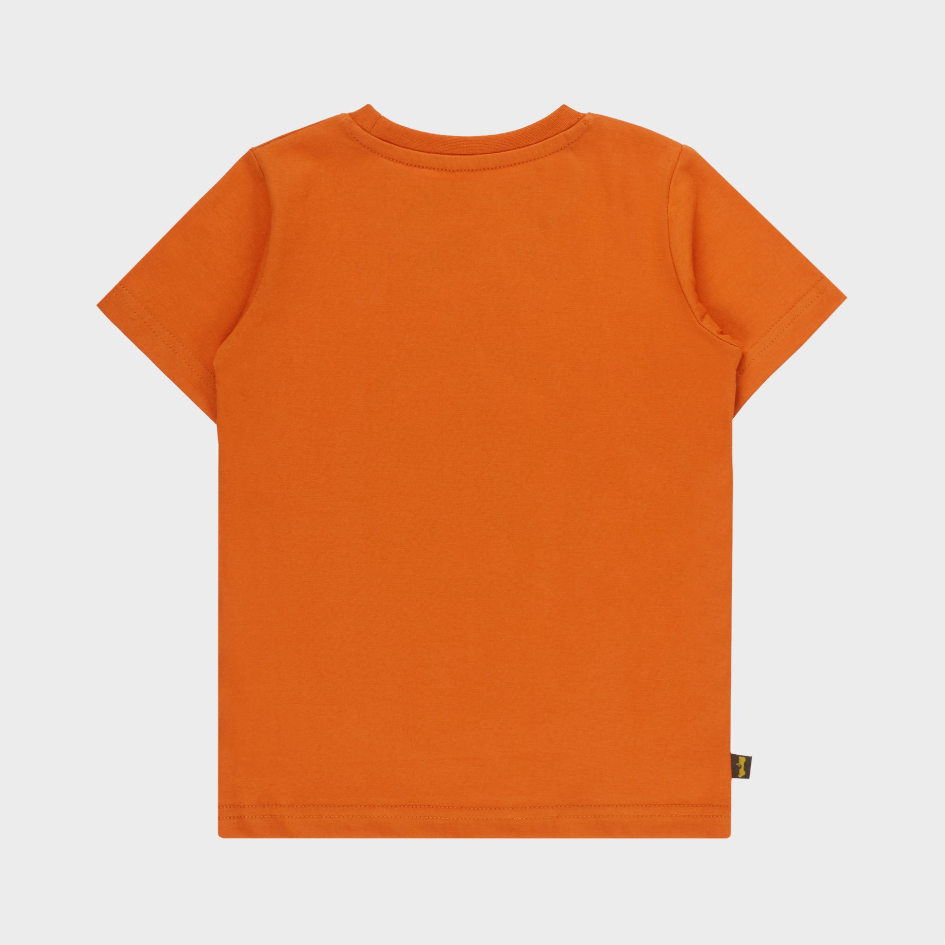 Icon Star Logo T-shirt (1)