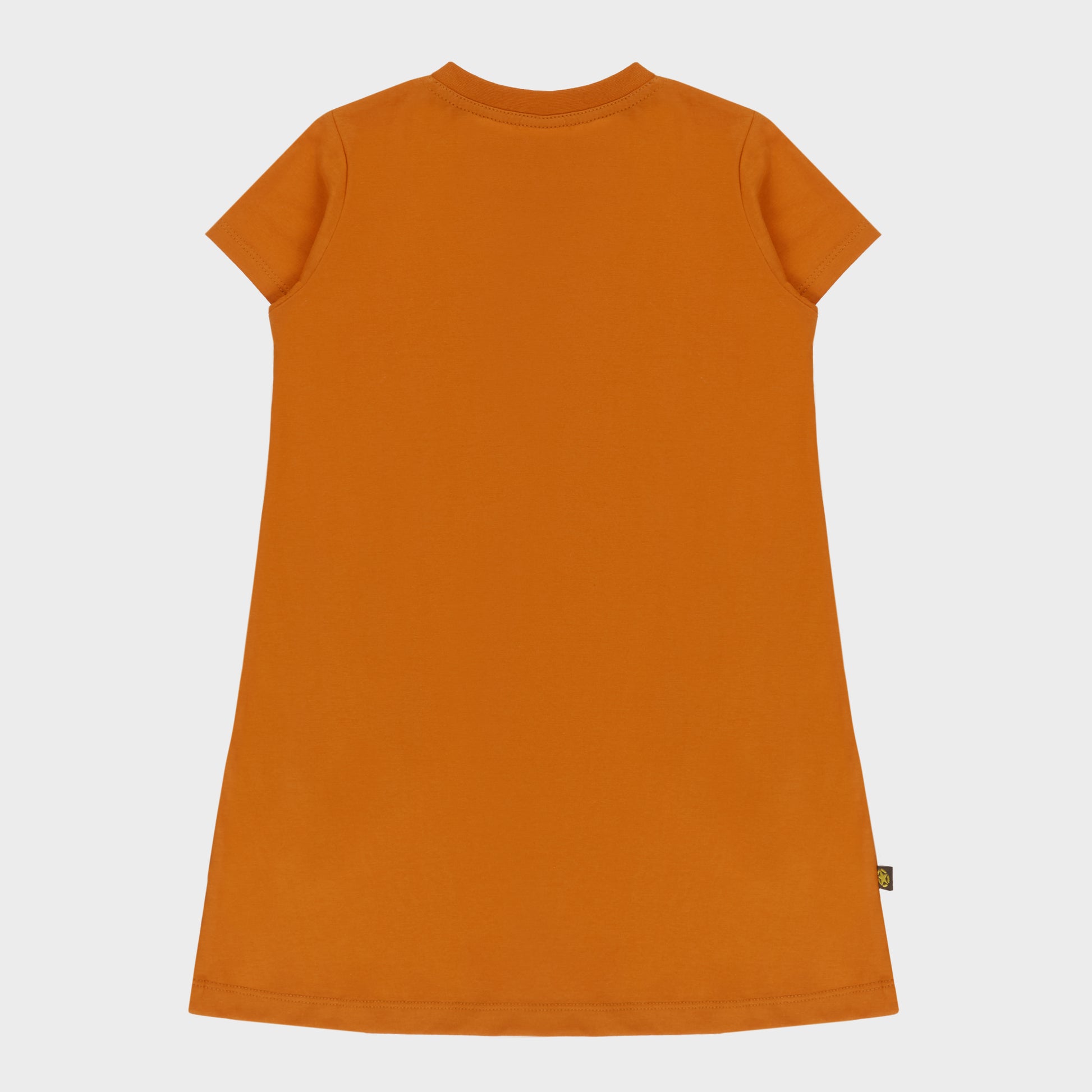City Lite Dress (1)