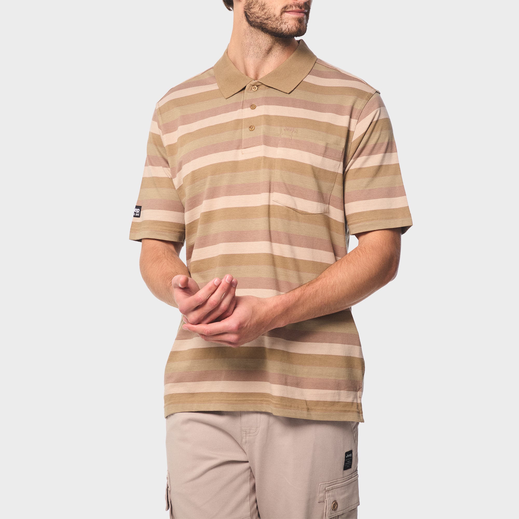 Yarndye Stripe Polo