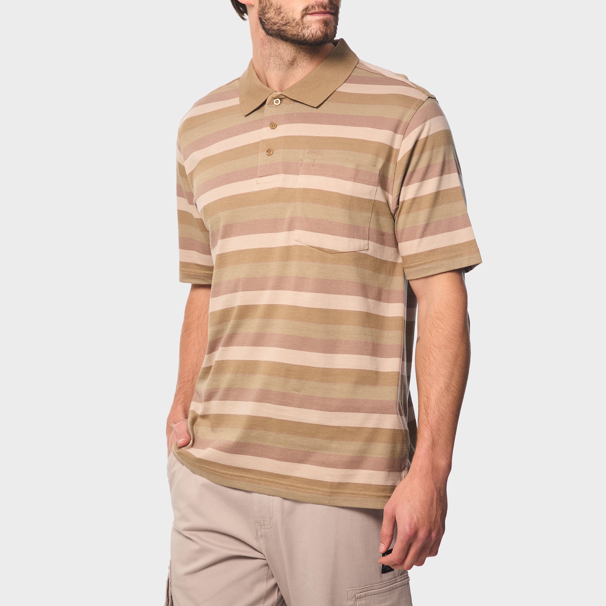 Yarndye Stripe Polo (2)