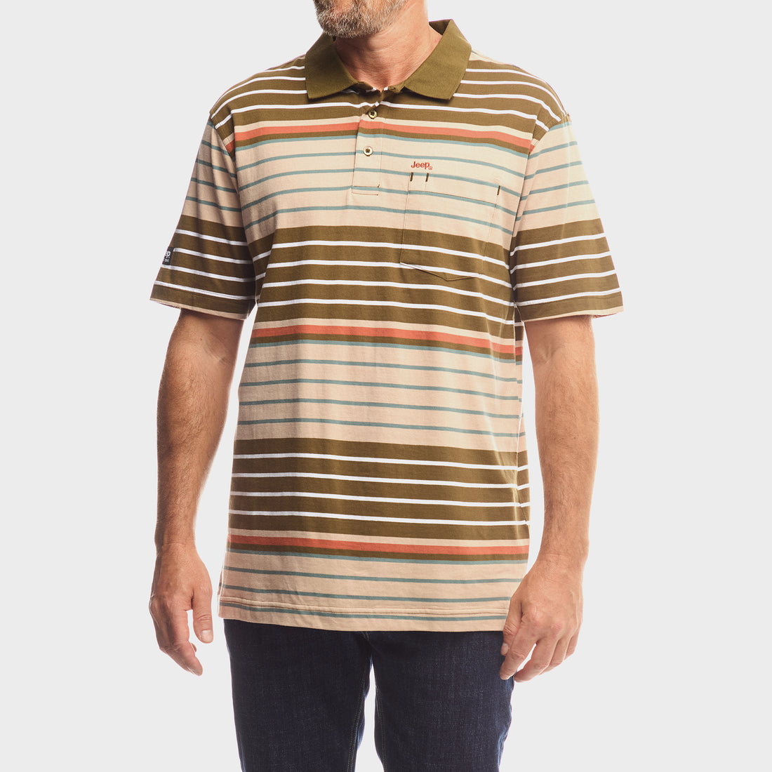 Yarndye Stripe Polo