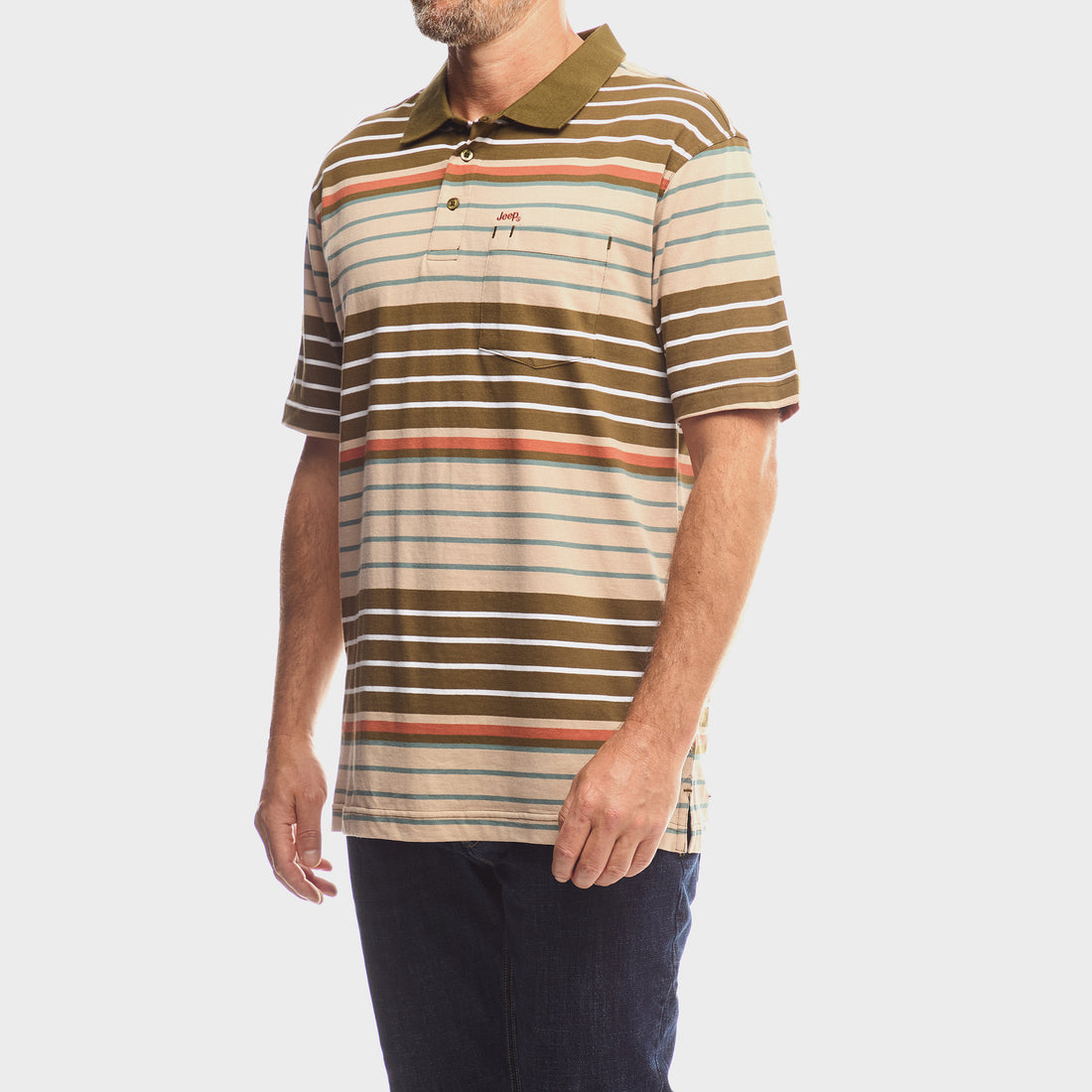 Yarndye Stripe Polo