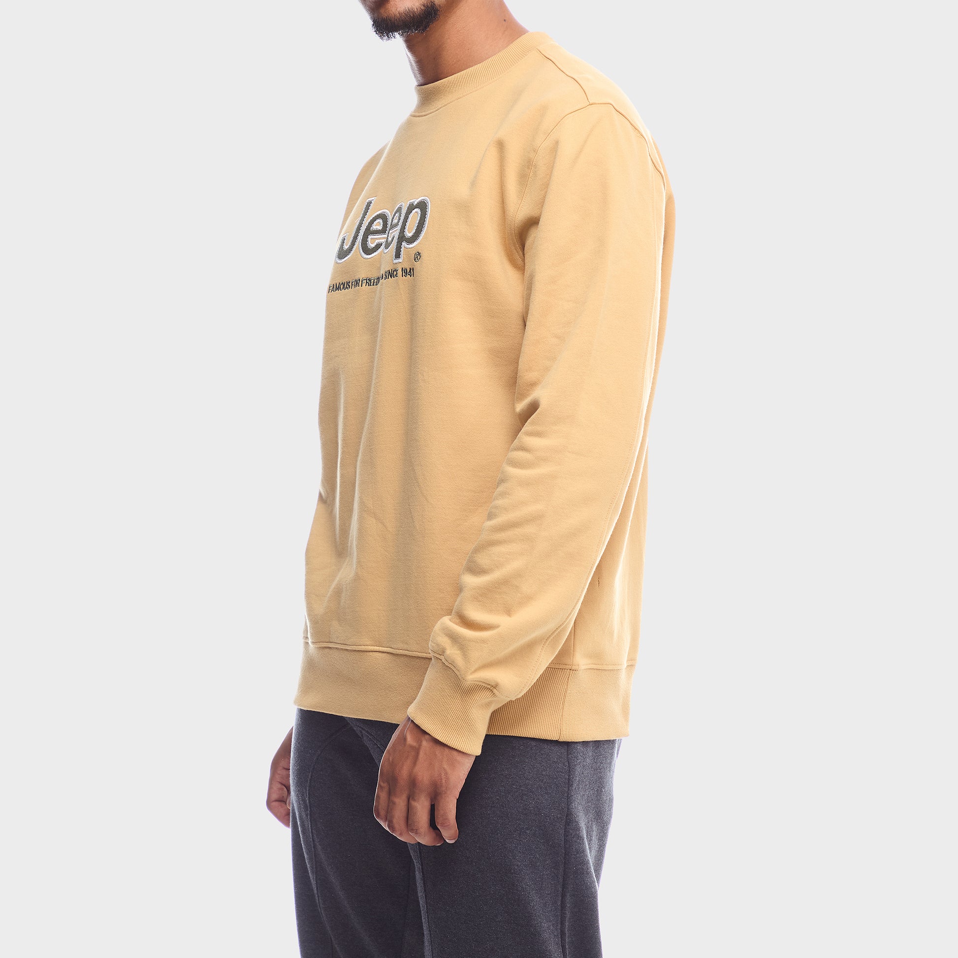 Core Applique Fleece Crewneck (2)