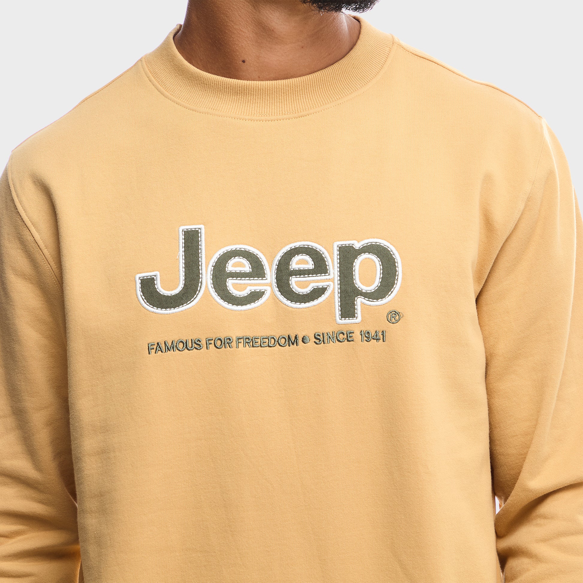 Core Applique Fleece Crewneck (4)