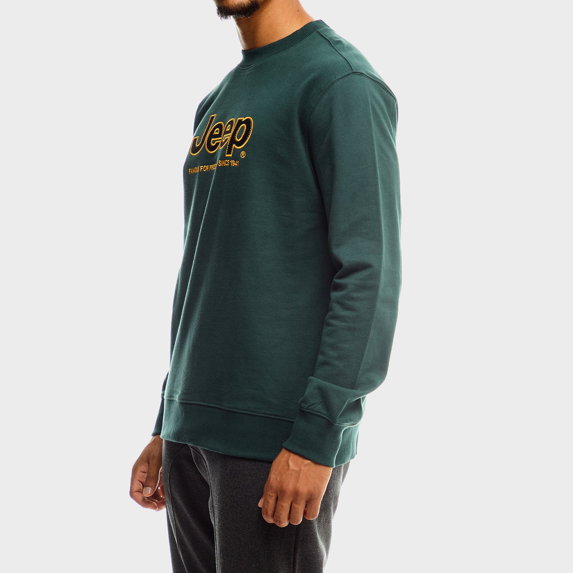 Core Applique Fleece Crewneck (2)
